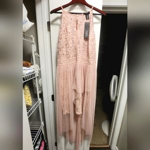 Lovely Grace Women's Lace Dress XL Champagne Pink NWT